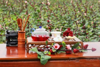 Những bài thuốc chữa bệnh từ hoa Hibiscus – Atiso đỏ